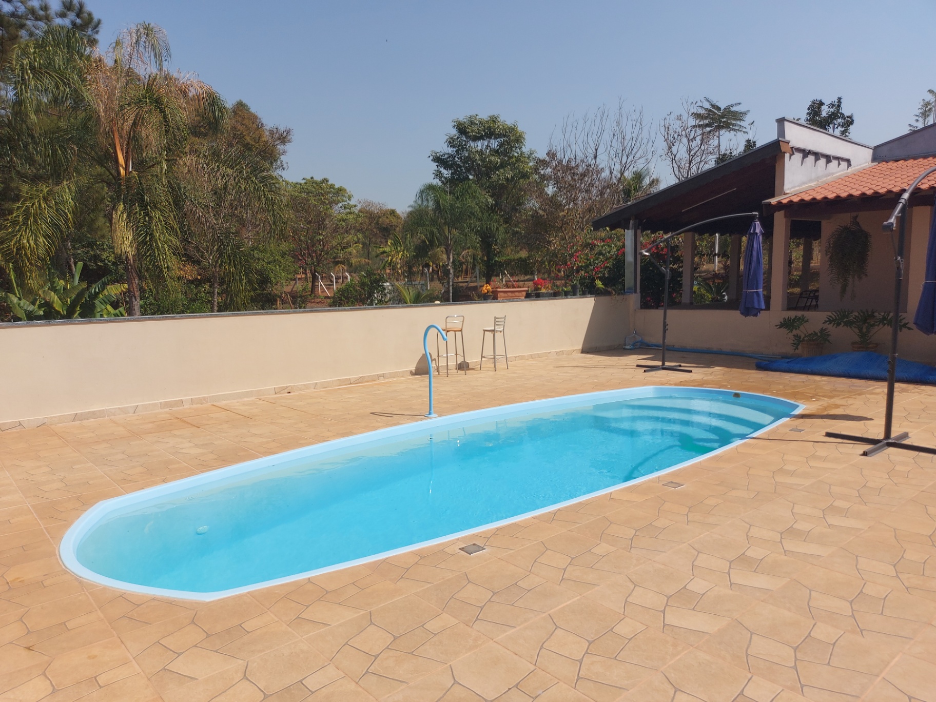 Piscina oval em chácara com vista para o jardim
